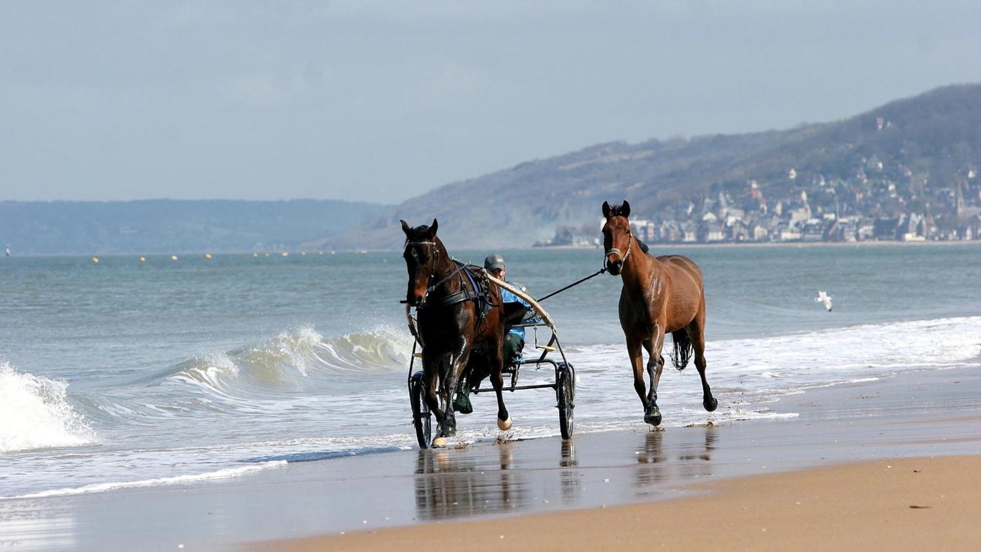 Cote Plage & Balcon Cabourg Εξωτερικό φωτογραφία
